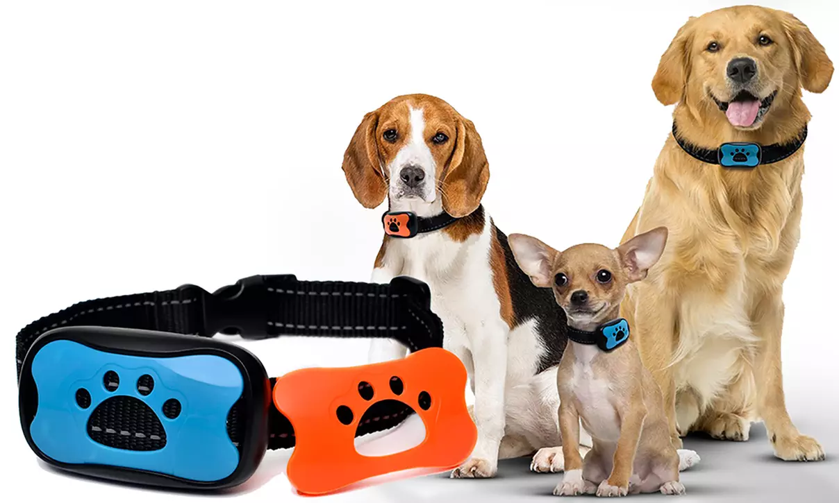 1 ou 2 colliers anti-aboiement pour chien - Primary Image