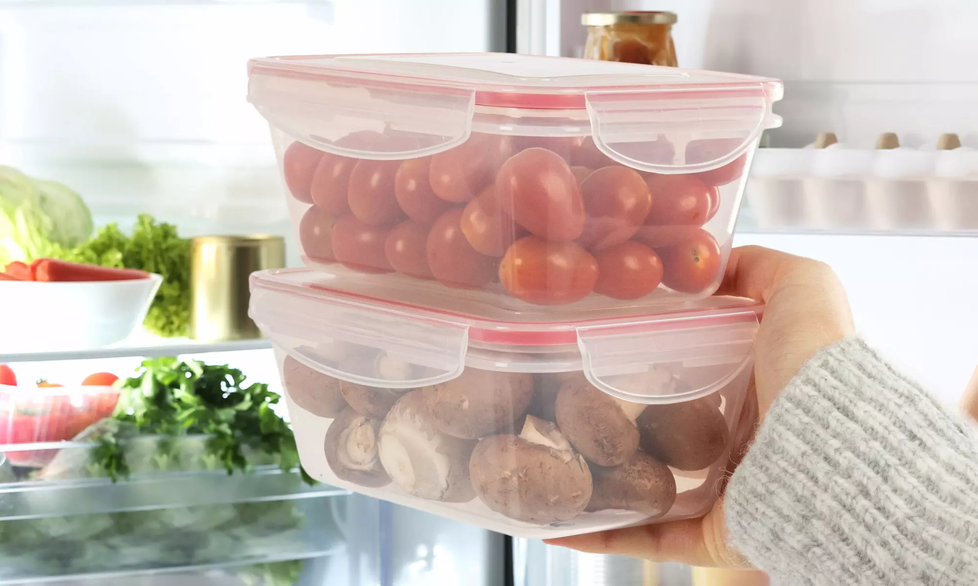 Bis zu 14-teiliges Set Classbach Aufbewahrungsboxen