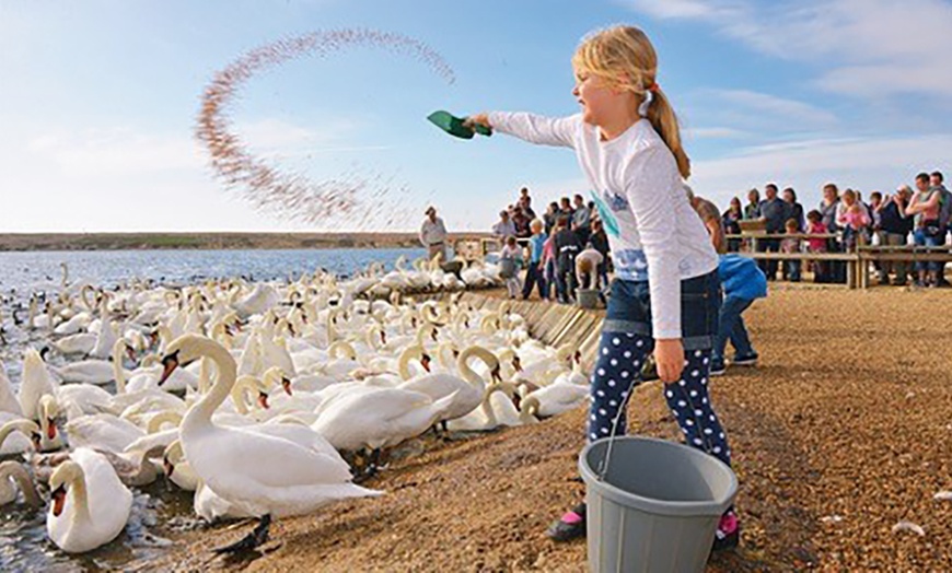 Image 1: Abbotsbury Farm, Child £7.95, Adult £9.95 Entrance