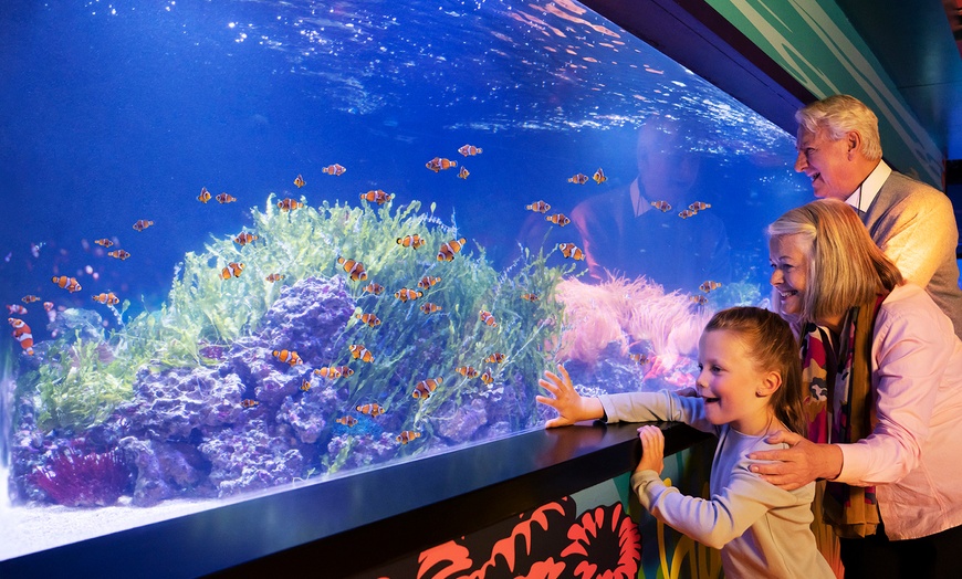 Image 2: London: 1- or 2-Night Break with SEA LIFE London Aquarium Entry