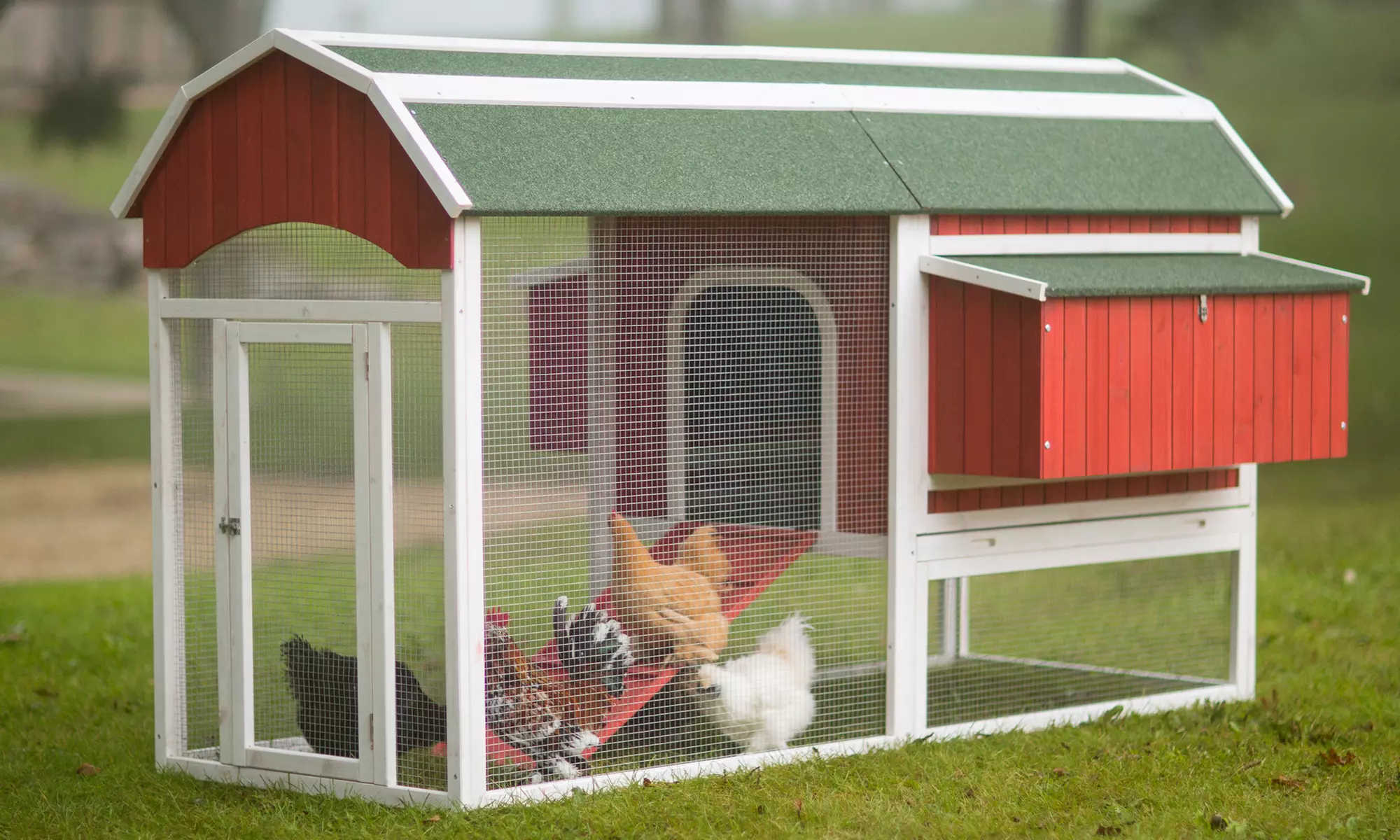 Prevue Pet Products Red Barn Chicken Coops or Egg Basket - Primary Image