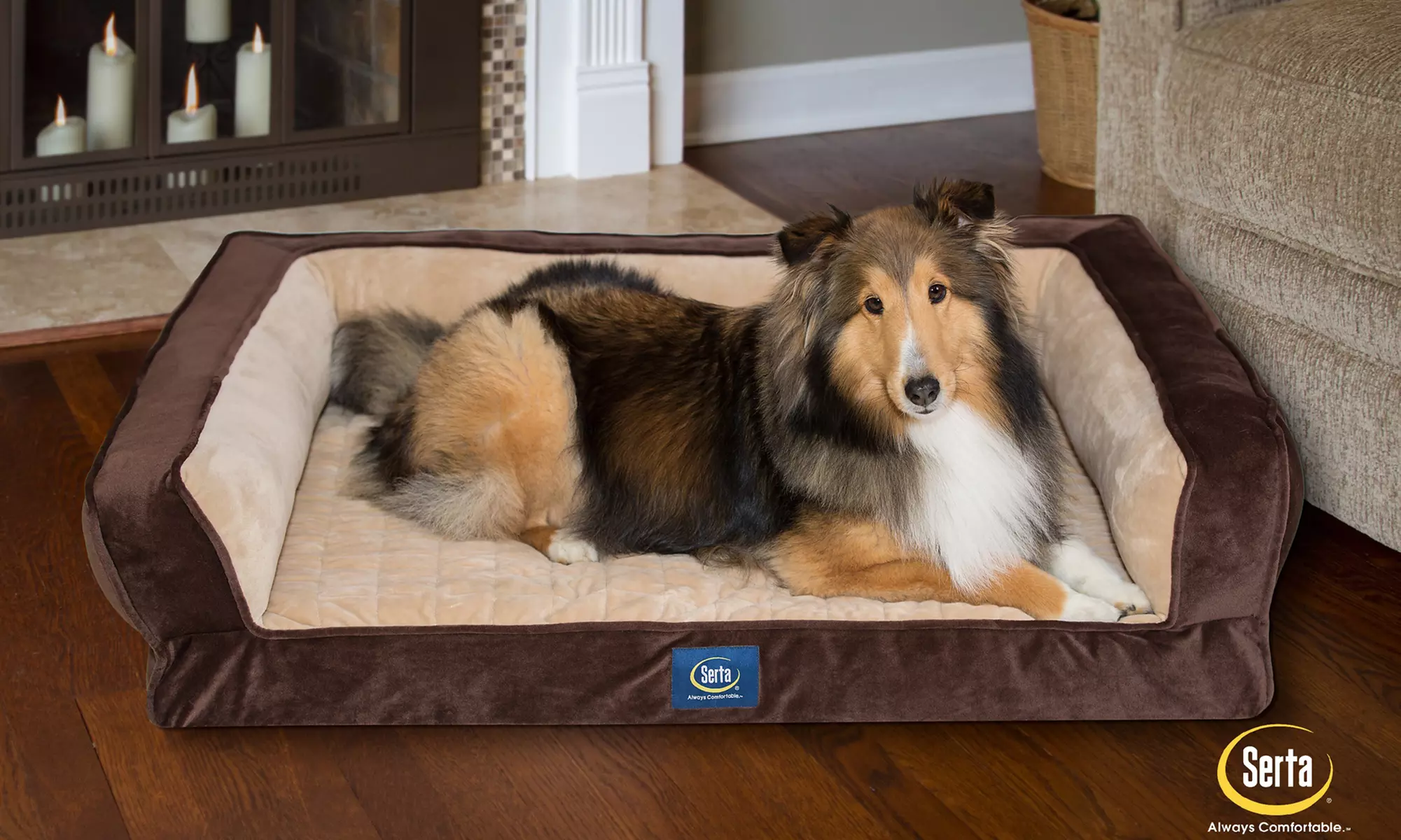 Serta Ortho Foam Couch Style Bed for Pets - Primary Image