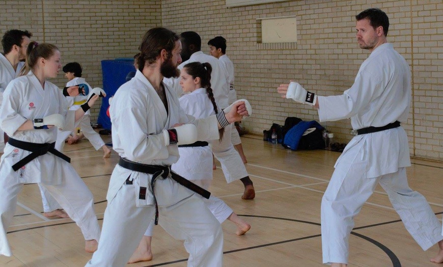 Image 2: Two Karate Classes