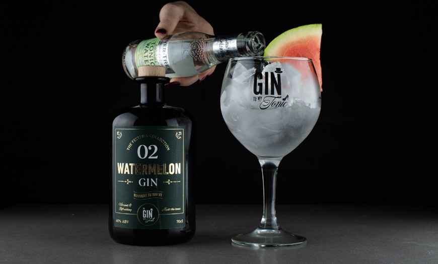 Image 6: The Gin To My Tonic Show