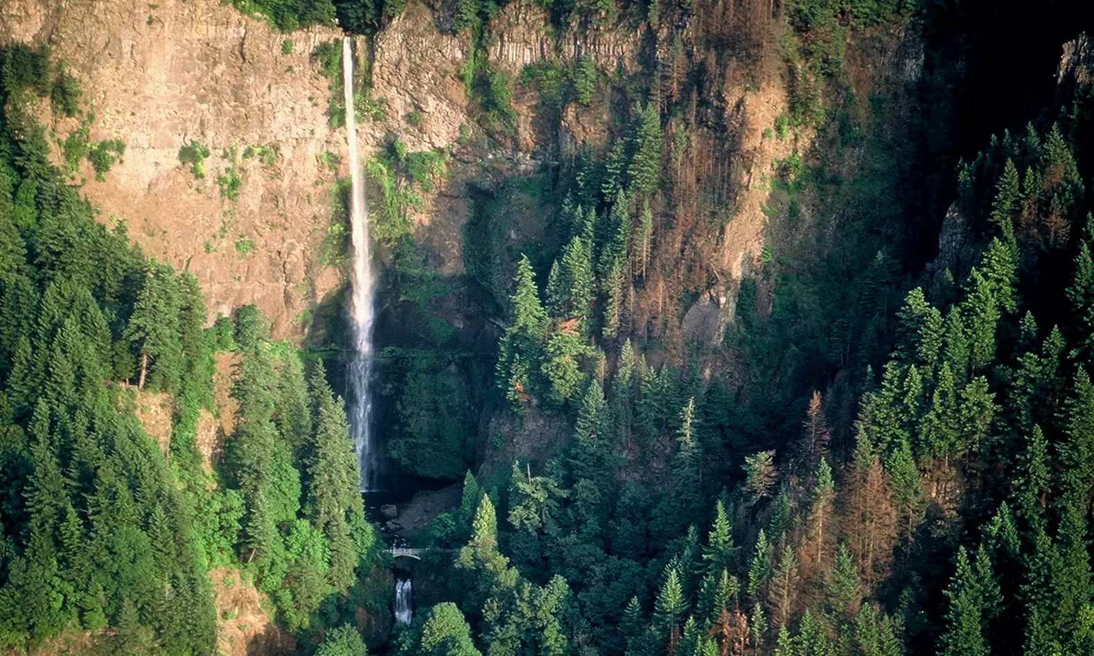 $20 for $35 Worth of Northwest Style Cuisine at Multnomah Falls Lodge - Primary Image