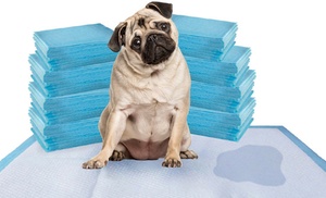 Aspect Pet Toilet Training Pee Pads - Super Absorbent, Leakproof Aspect Pet Toilet Training Pee Pads - Super Absorbent, Leakproof