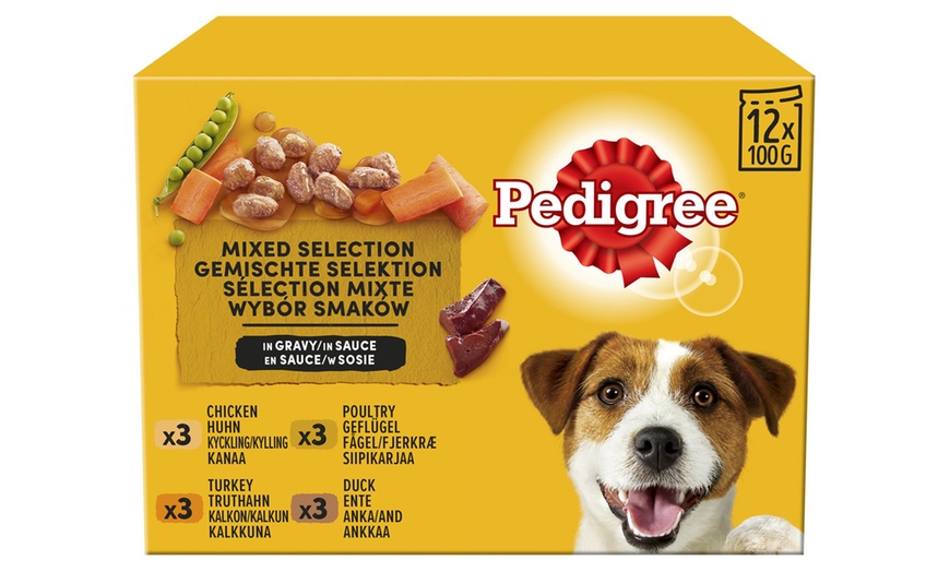 Image 4: Food pouches adult or senior dog, Pedigree