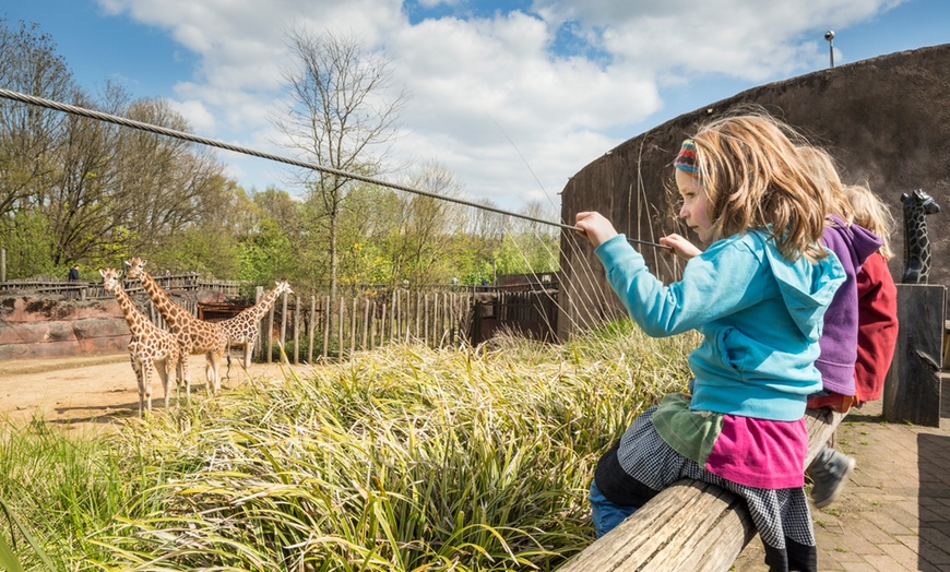 Image 13: Eintrittskarte für GaiaZOO