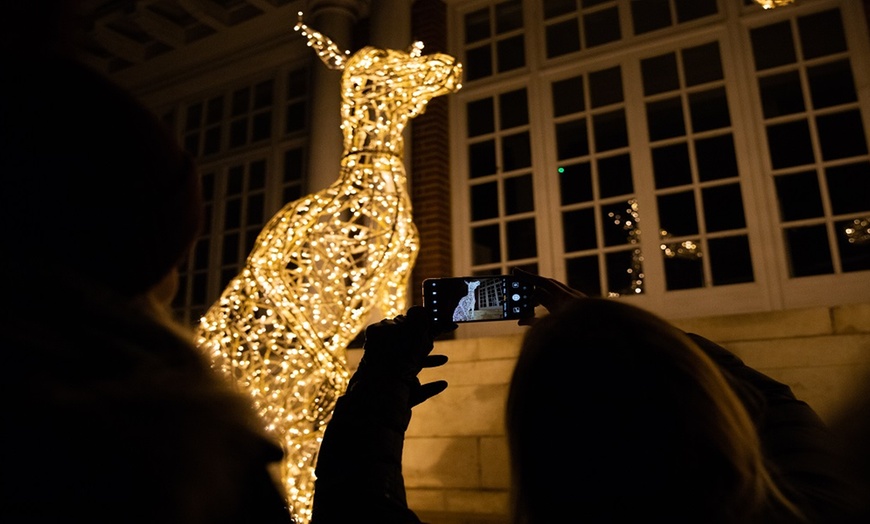 Image 6: Christmas at London Zoo