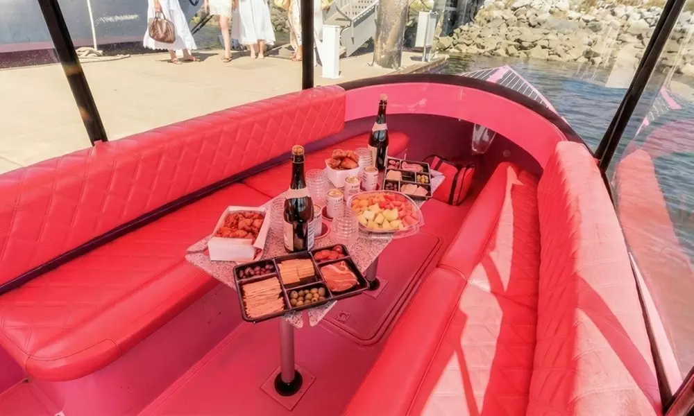 Cruise in Style: Electric Boat Rental, 1,2, or 3 hr. Non-Captained