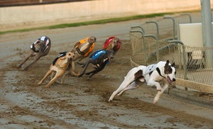 Greyhound Racing, Meal and Drink for Up to Four at Yarmouth Stadium