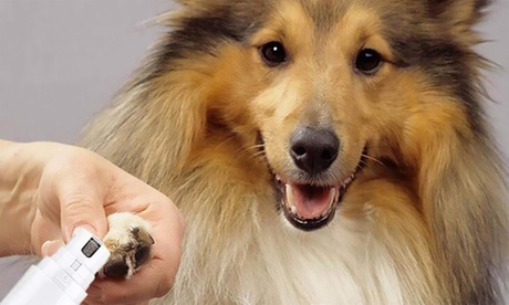 1 ou 2 limeurs à griffes électroniques pour animaux de compagnie