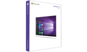 Microsoft Windows 10 Professional