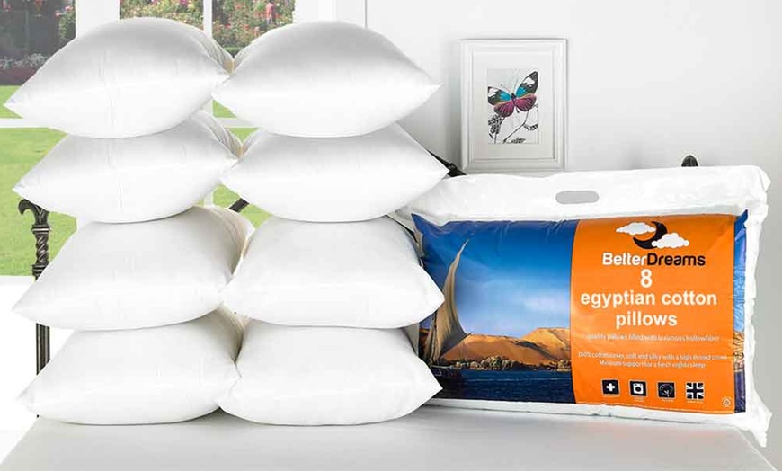 Image 3: Egyptian Cotton Pillows