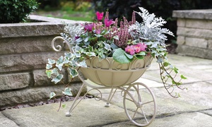 One or Two Metal Wheelbarrow Planters