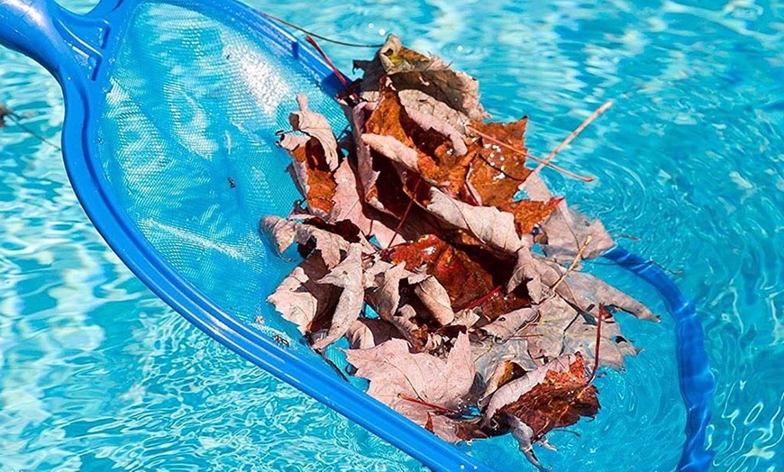 Image 1:  Pool Cleaning Leaf Skimmer