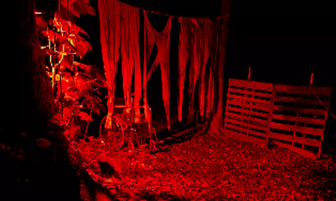 Terrifying Mazes & Haunted Hayrides – VIP Options Available