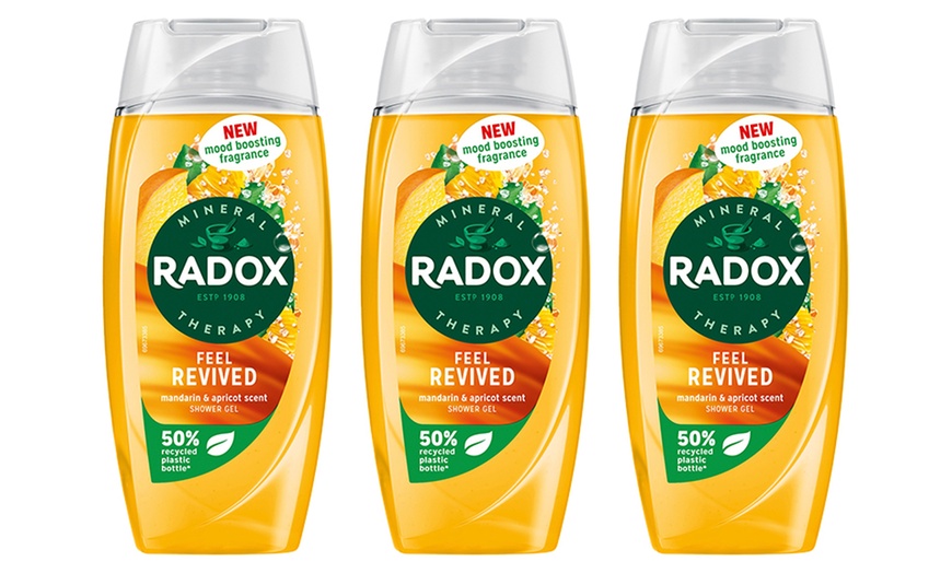 Image 24: Radox Mineral Therapy Shower Gel with Mood-Boosting Fragrance