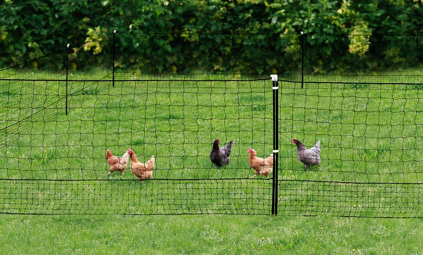 Image 3: Clôture à poules amovible Jardikt