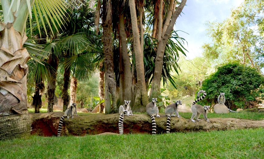 Image 18: Vive un viaje educativo y salvaje con una entrada a Bioparc Fuengirola