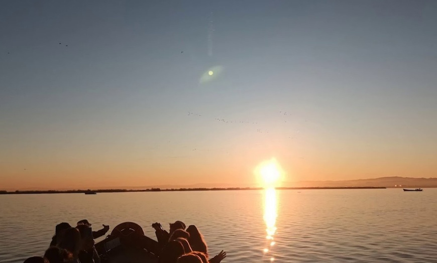 Image 18: ¡Descubre la magia de la Albufera en barca!