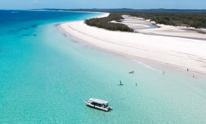 Image 2: Four-hour of Whales & Beaches, Big Woody Hiking, or Island Hopper