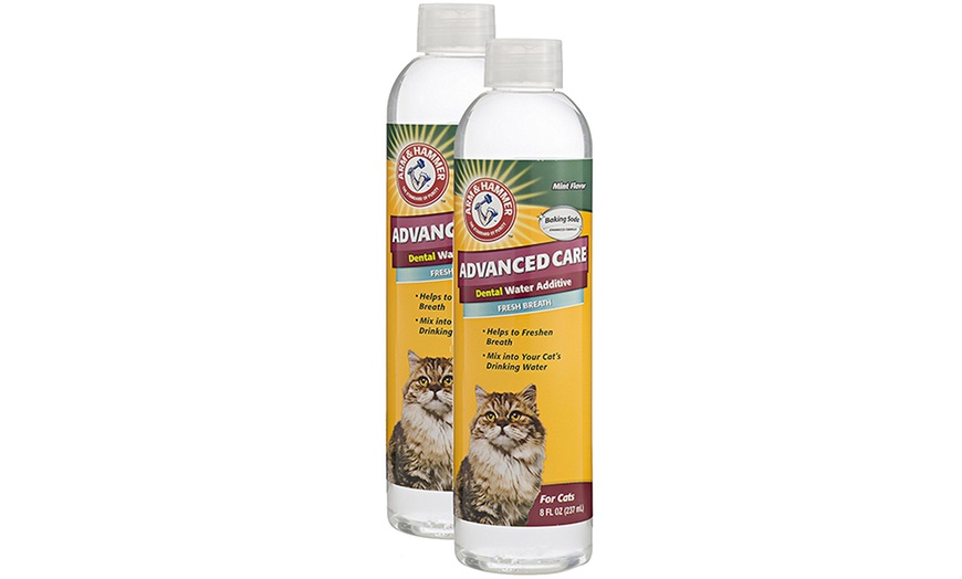 arm and hammer water additive for cats