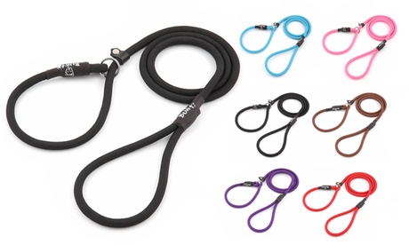Laisse et collier pour chien 2 en 1