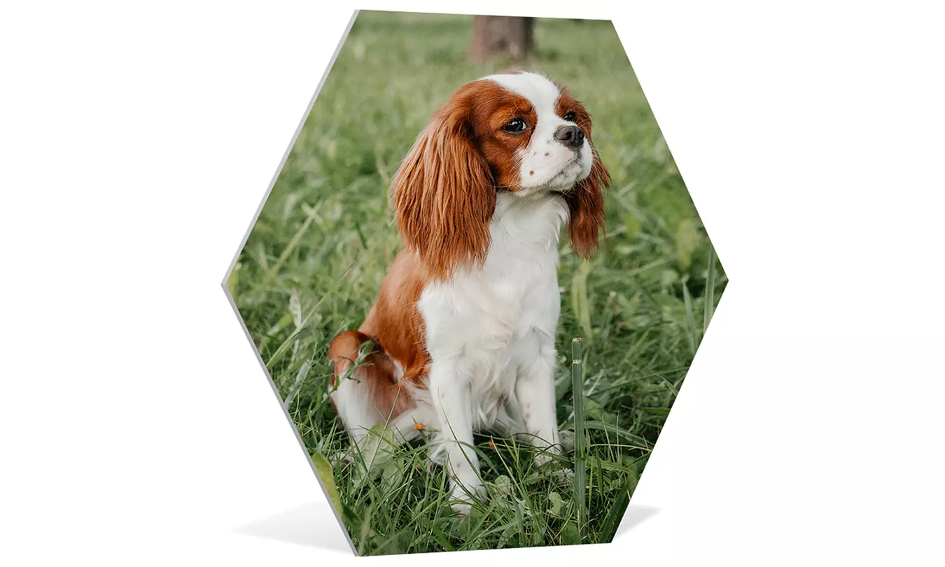 Hexagon foto´s voor aan je muur