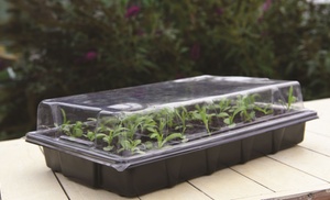 Up to Nine Garden Plug and Seed Growing Trays