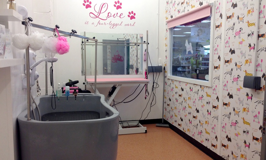 Image 4: Dog Grooming Service