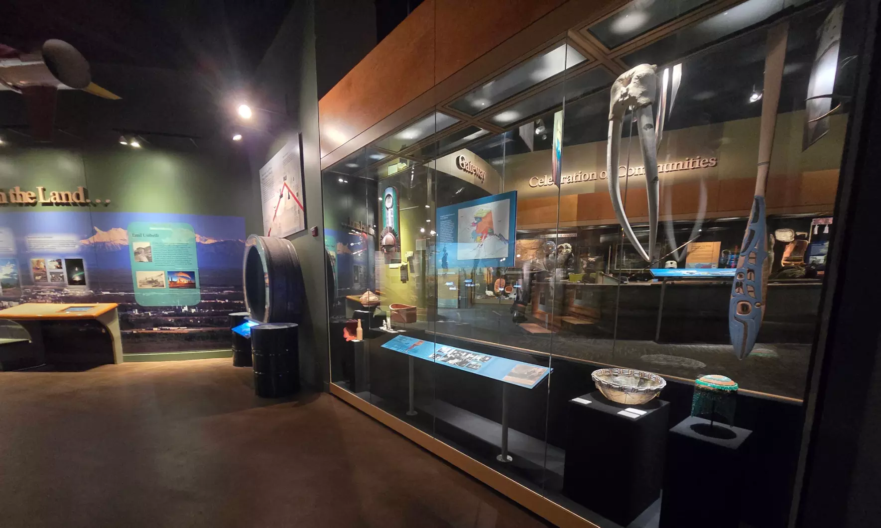 Join Northern Lights Tours for the Heart of Alaska Top City Tour—Experience Unforgettable Moments(Up to 15% Off) - Primary Image