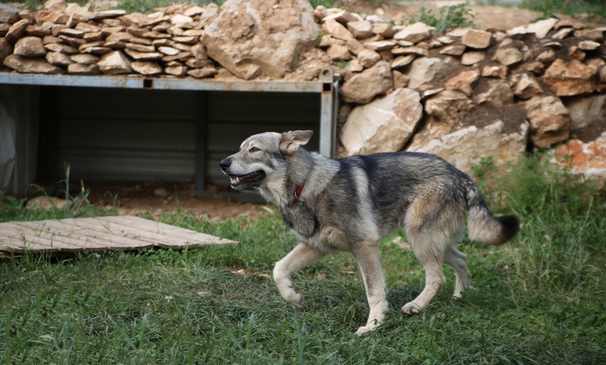 Image 2: Entrées au Parc Animalier Ginasservis Zoo