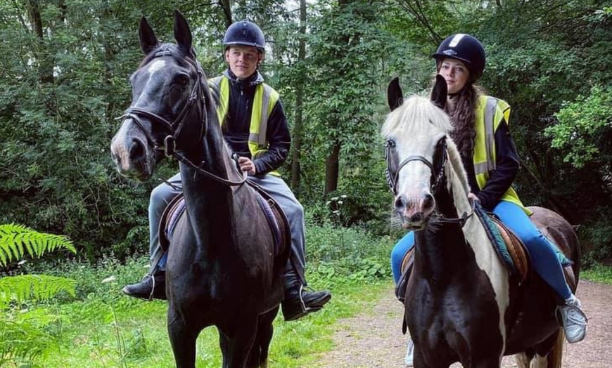 Image 14: Horse Riding and Trekking Lesson at SevernwyeEquestrian