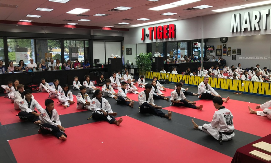 Kids' Martial Arts Classes - J Tiger Martial Arts | Groupon