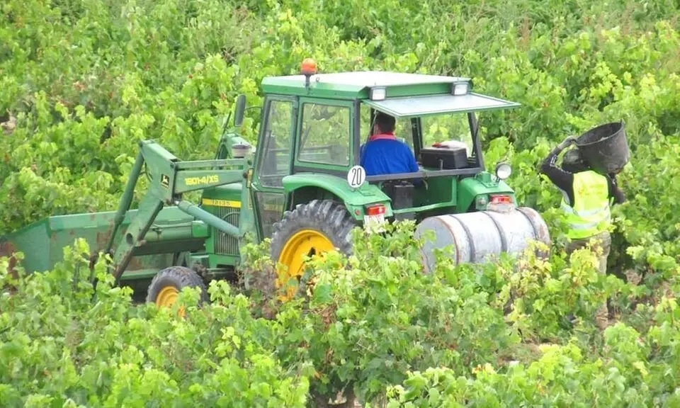 Visita guiada a la bodega y cata de vinos en Bodegas Urbina