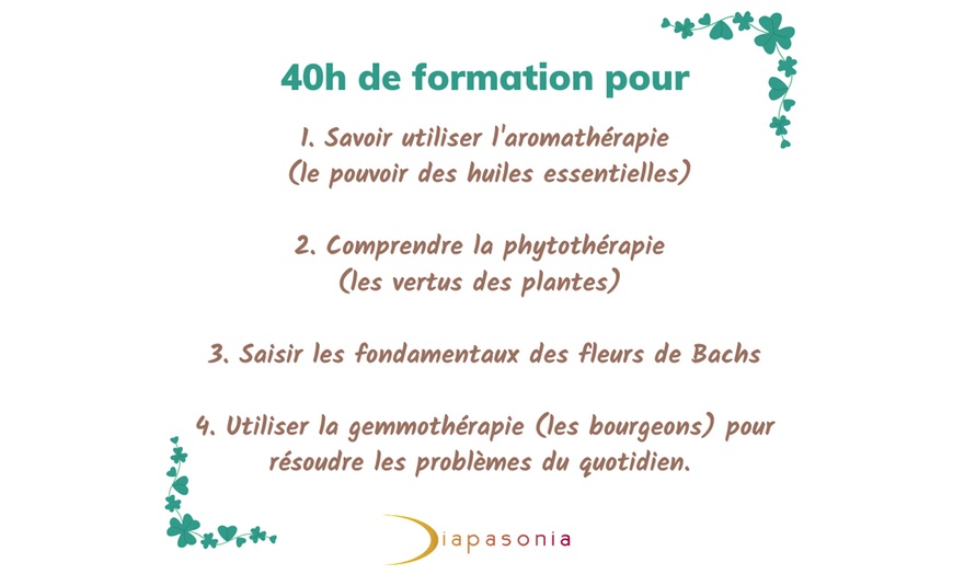 Image 3: Formation au choix avec Diapasonia