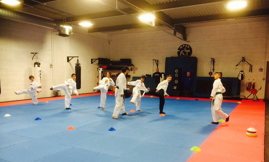 Image 12: Two Kids Taekwondo Lessons