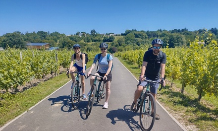 Tour centre historique et vignobles avec dégustation en vélo Gravel pour 1 personne