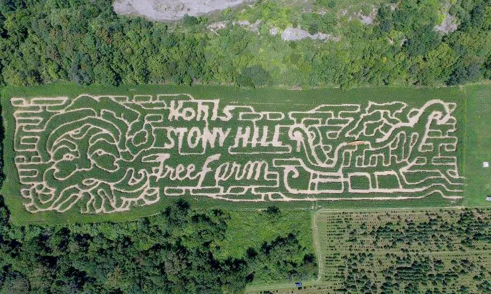 Corn Maze Adventure! Admission for 2-4 at Kohl's Stony Hill. Your corn maze quest begins here! (Up to 21% Off) - Primary Image