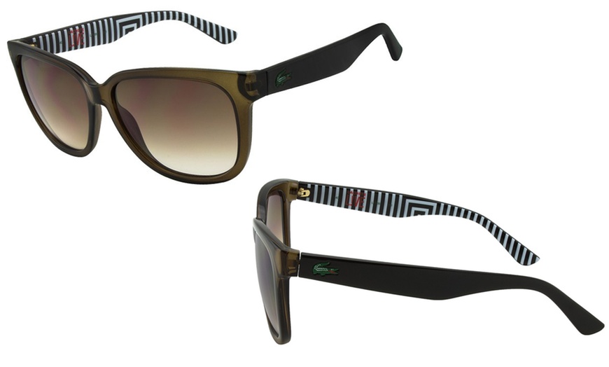 Image 7: Lacoste Sunglasses