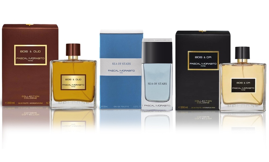 Image 2: Pascal Morabito herengeur