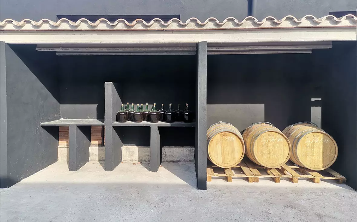 Visita a bodega más cata en Besalduch Valls And Bellmunt