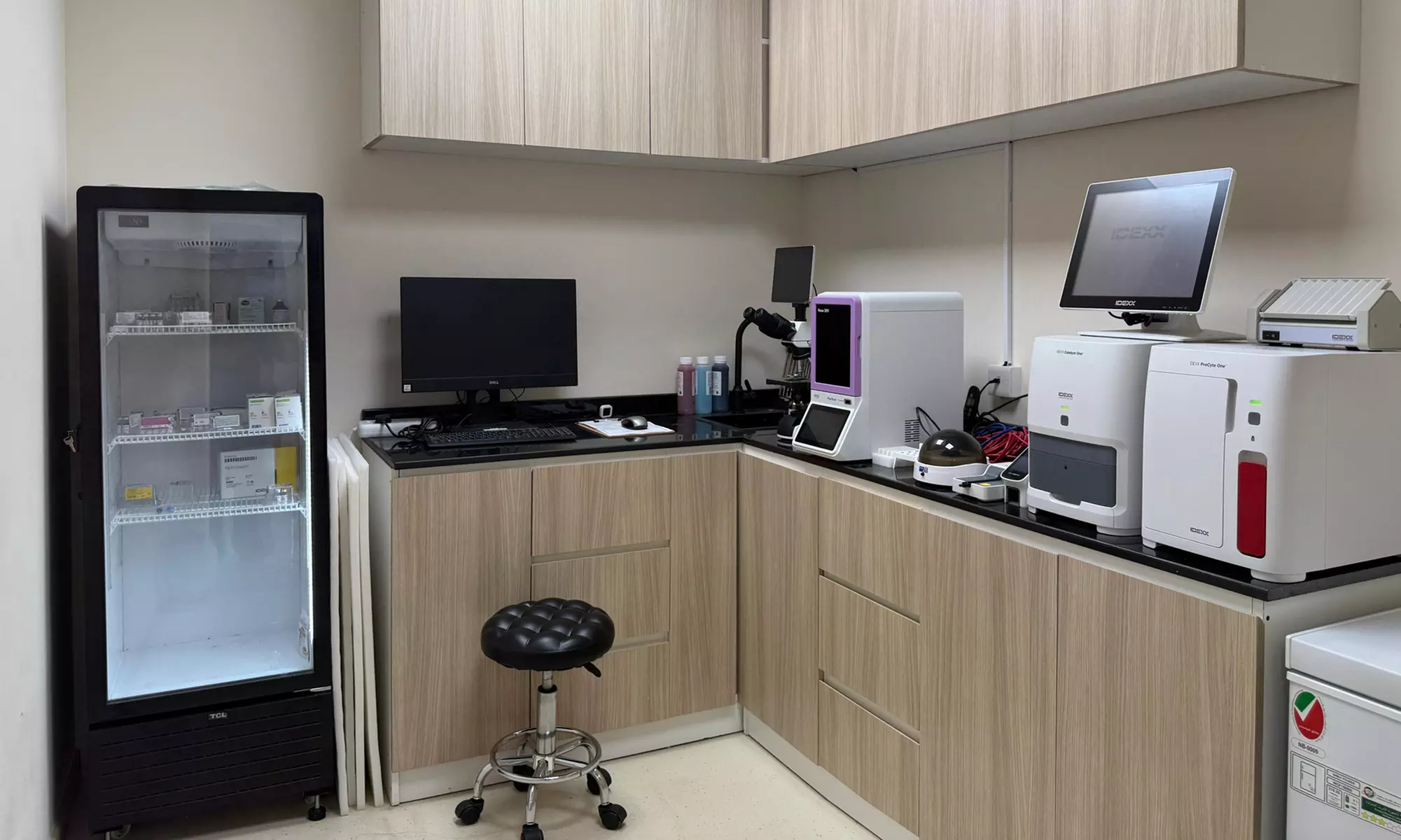 Check-Up, Vaccination, Deworming or Grooming for Cats & Dogs