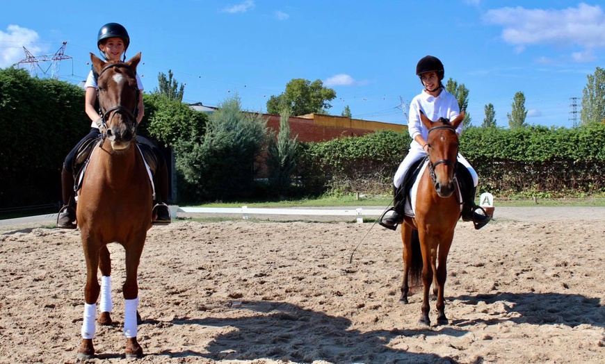 Image 2: ¡Al paso, al trote o al galope! Paseo a caballo para 2 o 4 personas