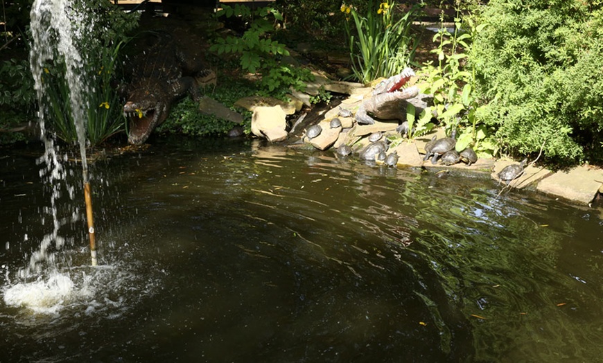 Image 3: Billet au parc pour enfants du Mont Mosan