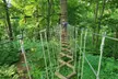 Treetop Quest Philly: Aerial Adventure and Zipline Experience with Gloves for One to Six People in Fairmount Park - Image 5