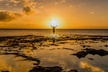 Experience Oahu’s Beauty with Family-Friendly Tours with Oahu Photography Tours, Up To 32% Off - Second Medium