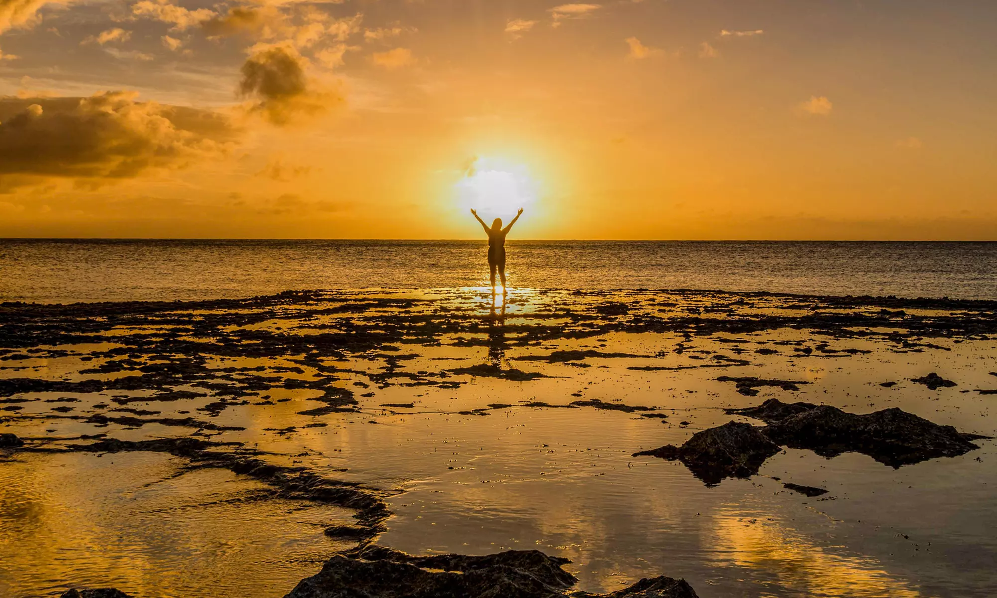 Experience Oahu’s Beauty with Family-Friendly Tours with Oahu Photography Tours, Up To 32% Off - Primary Image