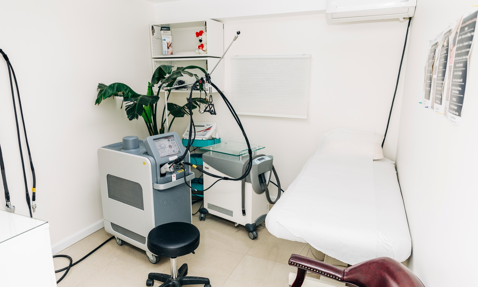 Experience Effective Fat Freezing with Cryolosis Treatments